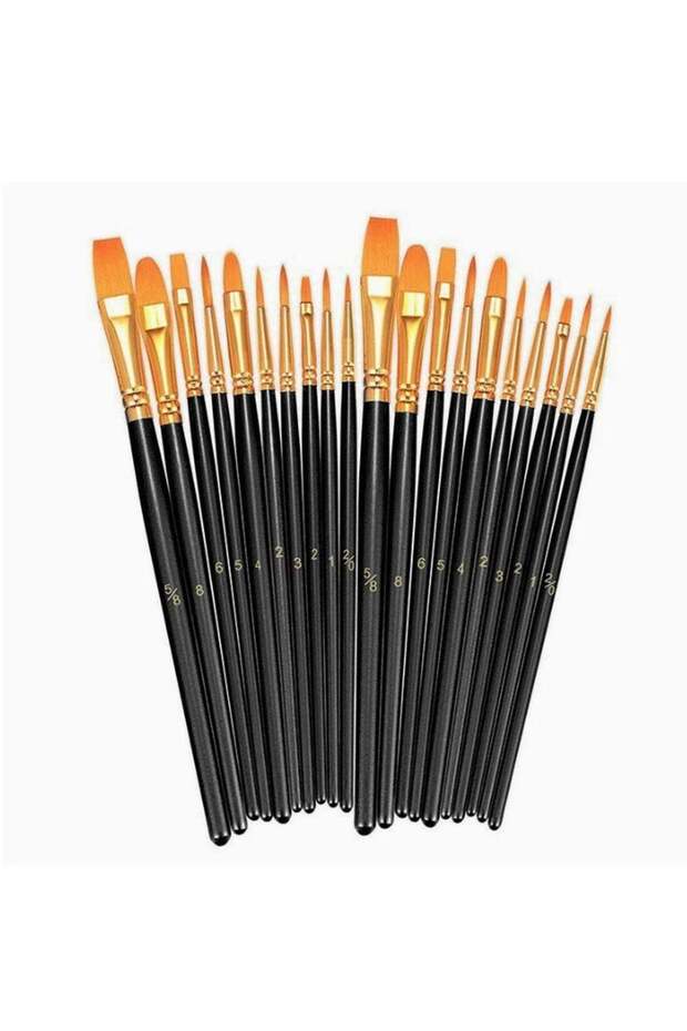20-Piece Nylon Artist Paint Brush Set With Black Wooden Handles Assorted Shapes