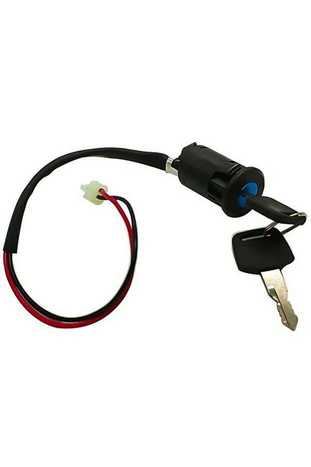 Moped Ignition Key Switch 2 Wire 28mm Hole ATV Dirt Bike Accessory Electric Motorcycle Go-Kart On/Of
