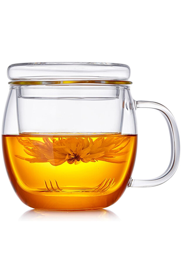One Size Glass 350ml Glass Tea Cup with Infuser and Lid 11oz/350ml Borosilicate Tea Cup Clear Mug fo