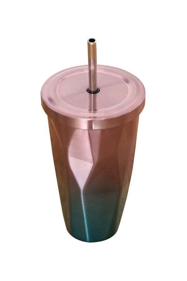 Stainless Steel Double Wall Tumbler With Straw And Lid Multicolour 10.2x10.2x18centimeter