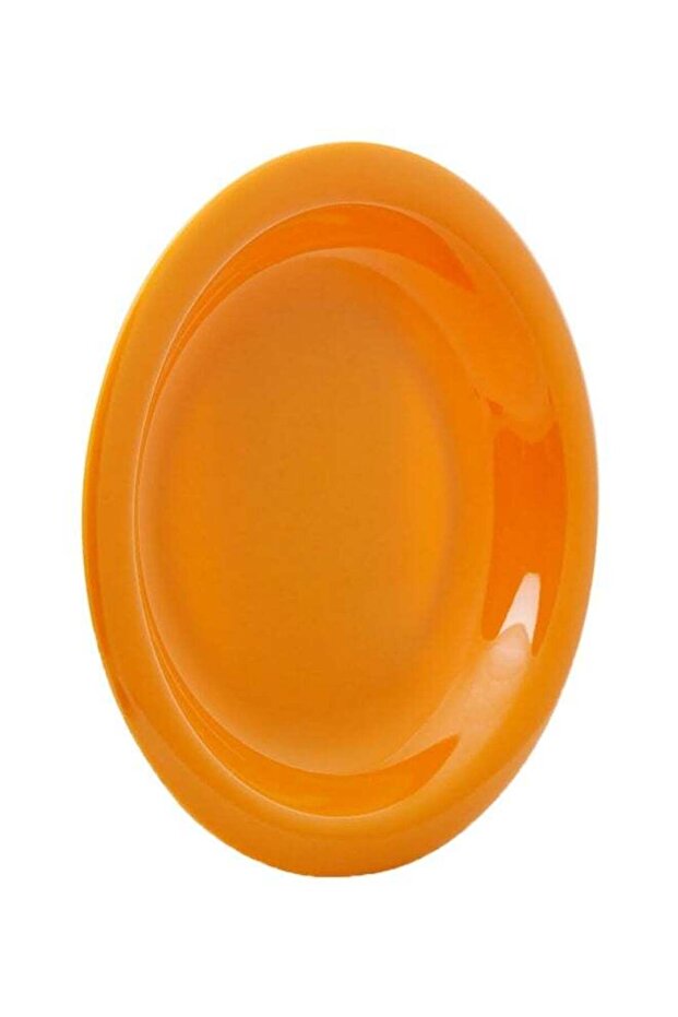 Attractive Solid Round Plate Orange