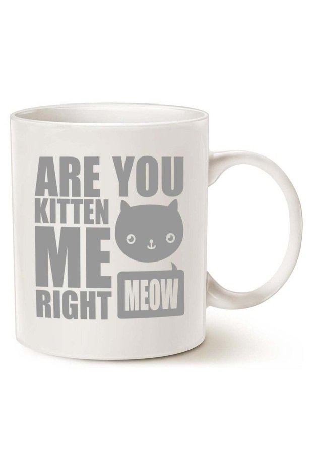Funny Cat Coffee Mugs, Fun Are You Kitten Me Right Meow Best Cat Lover Gifts Cute Cup