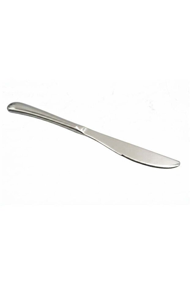 BERAM Stainless Edge Dining Knife, Premium 420 Steel, Table Knife with Shining Finish, Sharp Kitchen Cutlery with Mirror Polishing