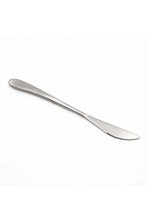 BERAM Silverware Dining Knife – Premium 420 Stainless Steel, Sharp Table Knife with Mirror-Polished Finish, Durable Kitchen Cutlery