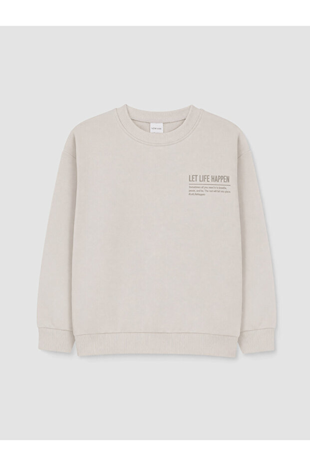 Gray 2 Thread Printed Standard & Regular Boys' Sweatshirt - W60288Z1-G5M | Lcw
