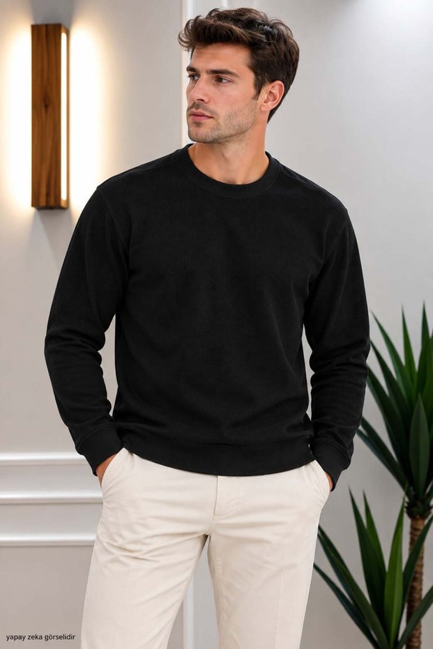 Men's Crew Neck Waffle Fabric Regular Fit Sweat 5851