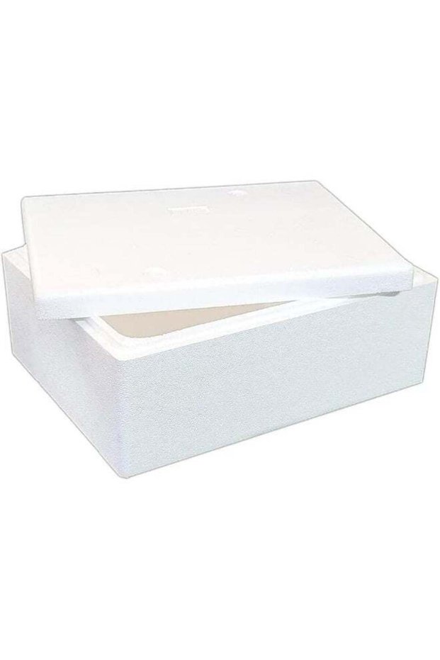 Go2camps Alsaqer-Thermocol Ice Box 15 kg, 50 Litre Capacity