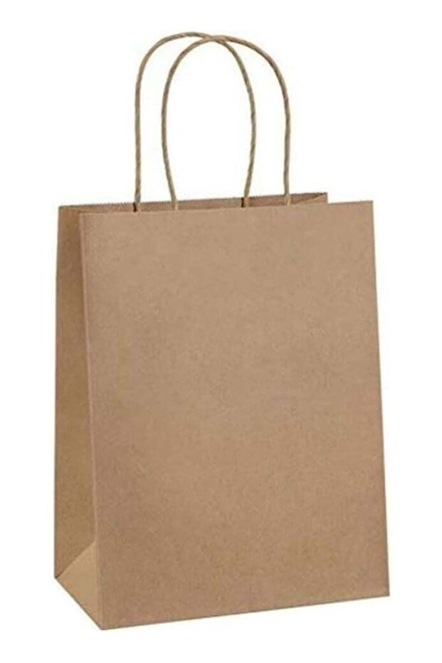 ecoway Kraft Paper Bags 25 Pcs X-LARGE Paper Gift Bags with Handles Bulk, Paper Shopping Bags, Kraf
