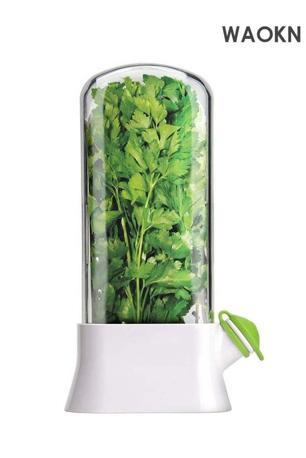 Refrigerator Herb Preserver, Herb Storage Container for Cilantro, Parsley, Asparagus, Vegetables Pr