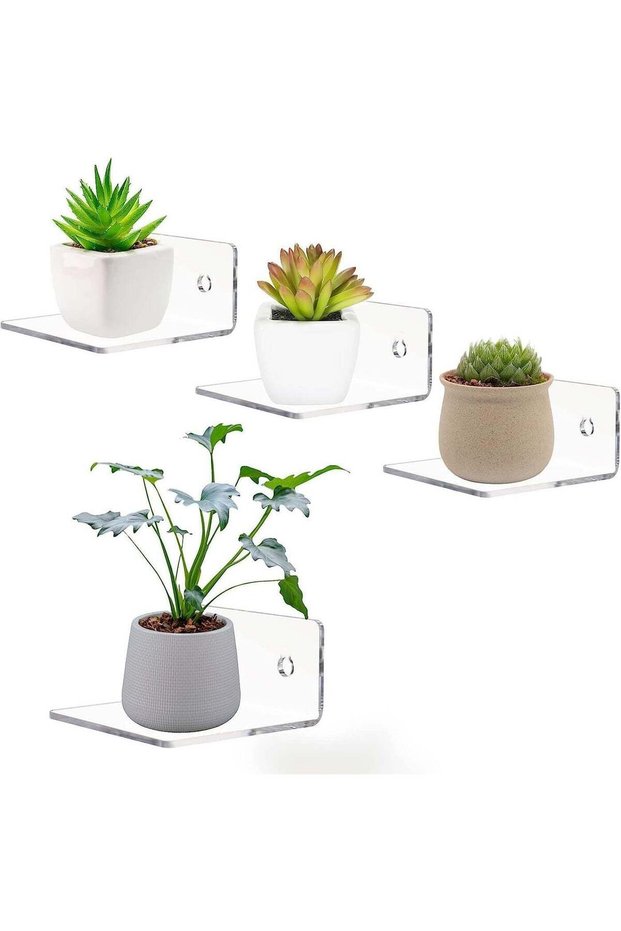 BIGIMALL 4 pcs Mini Floating Wall Shelves - Clear Acrylic Display Shelves for Plants and Decor