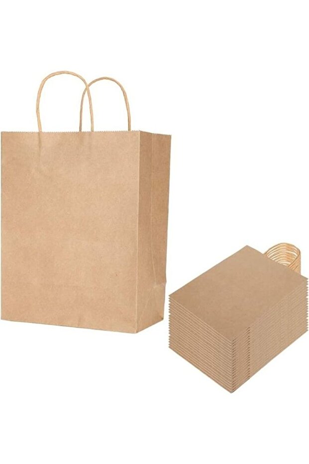 12-Piece Paper Bags With Twisted Handles Brown