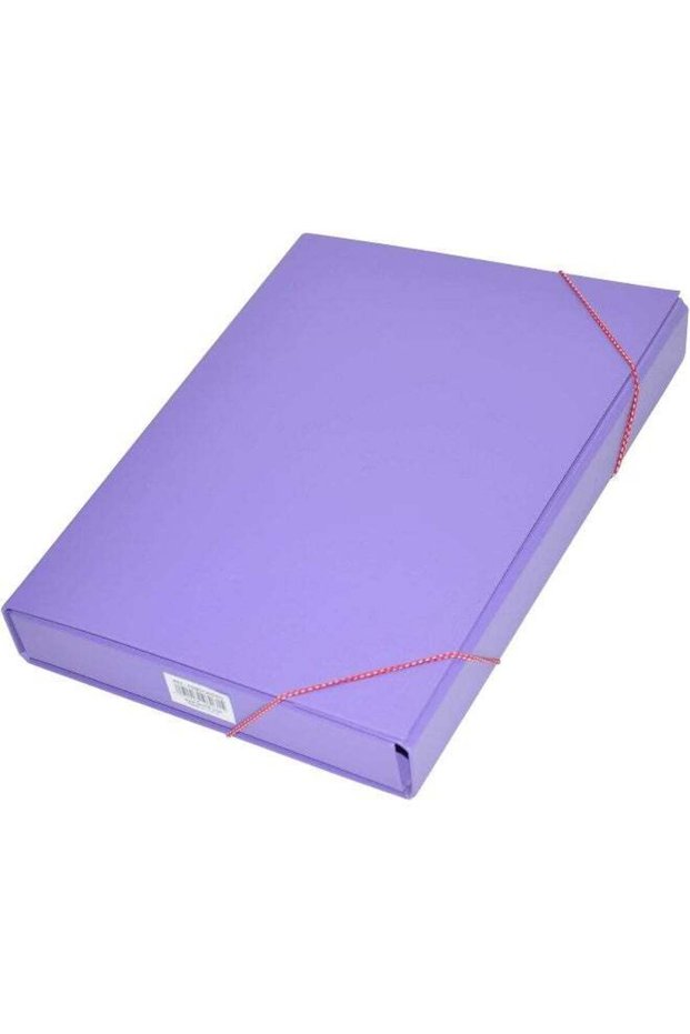 FIS PP Document Bag, Foolscap Size (235x347mm), 3 cm Spine, Violet Color Violet