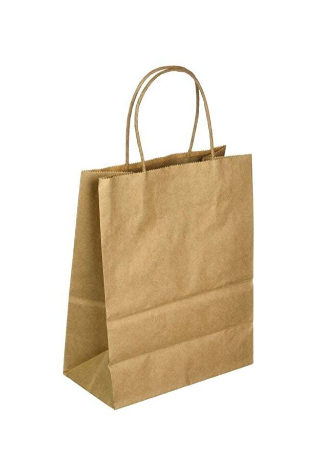 Gift Bag Medium Natural Kraft-Pack of 12 Brown