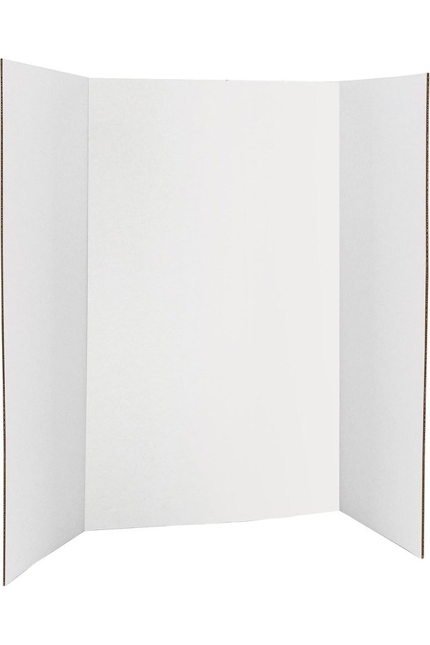 ARS (1 Pcs) (101.6x71.1cm), Presentation Board, Project Boards for Workshops, Science Fair, School
