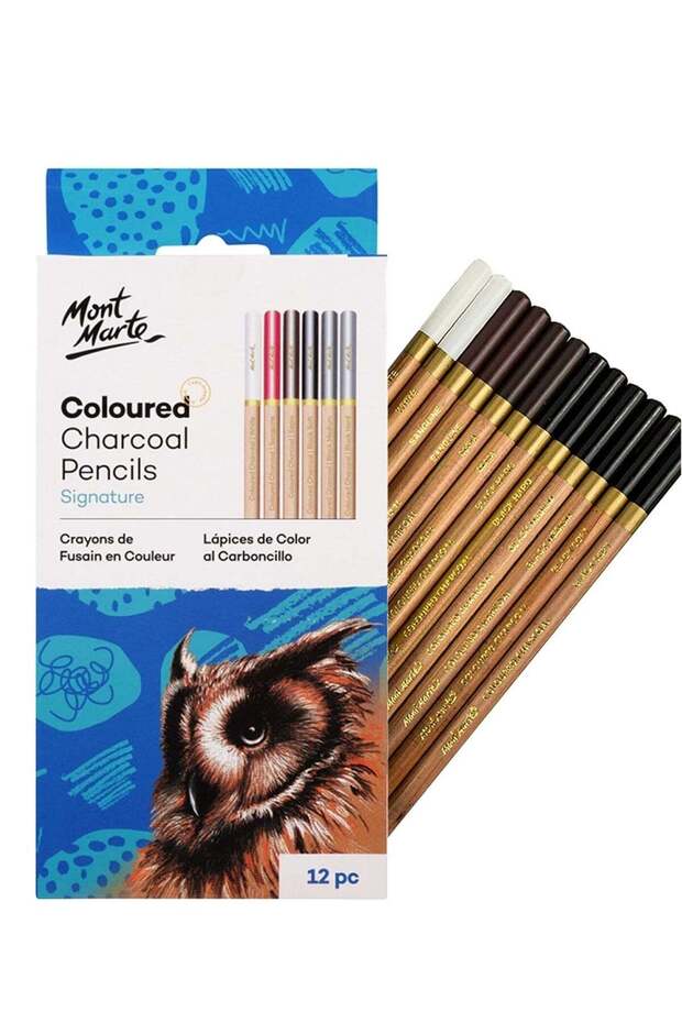 12-Piece Coloured Charcoal Pencils Multicolour