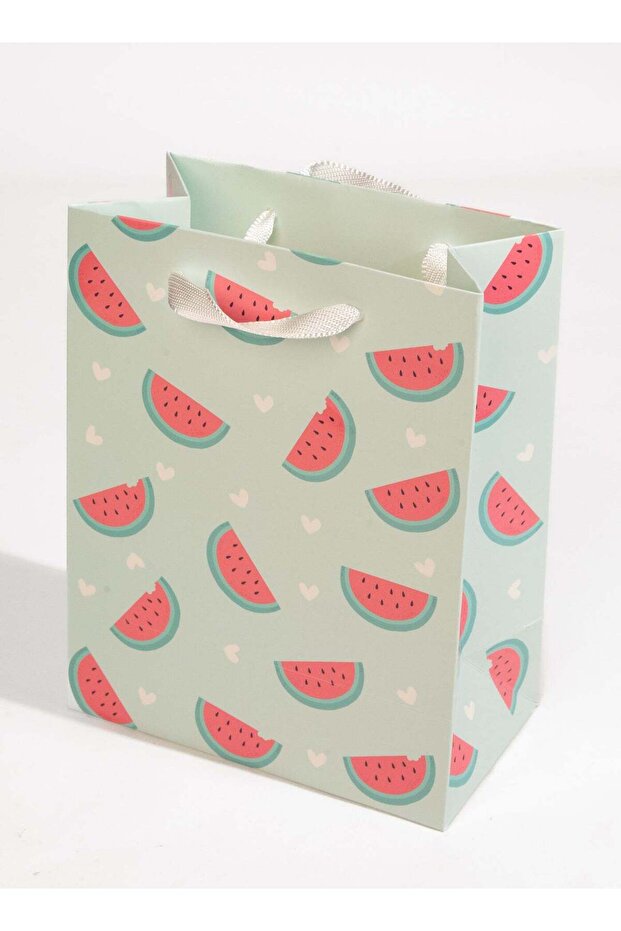 Watermelon Medium Gift Bag – Fun Colorful Gift Bag for Birthday, Kids Party, Summer Celebration, Ba