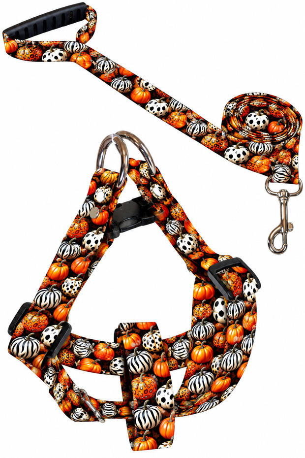 Dog Collar (Chest Collar) Travel Strap Set