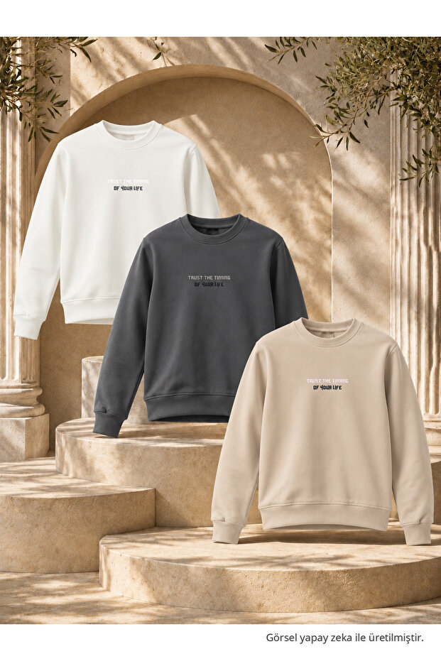3 Pieces Men's Printed Relax Fit Seasonal Sweatshirt