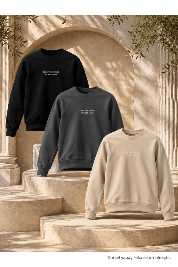 3 Pieces Men's Printed Relax Fit Seasonal Sweatshirt