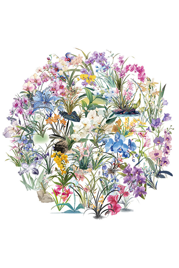 50PCS 50PCS Orchid Sticker Pack Waterproof Transparent PET Brochure Flower Material Guitar Waterproo