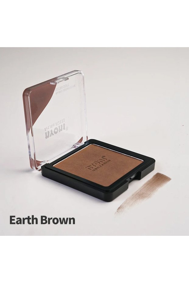 N2831 Earth Brown Nyoni Professional Ultra Soft Artist Pastel Graphite Charcoal Drawing Color Sketch