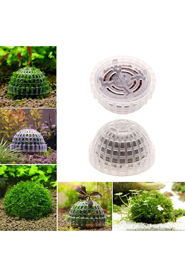 Dia. 5cm Transparent Aquarium Decoration Plants Bio Moss Ball Holder for Aquarium Crystal Red Shrimp
