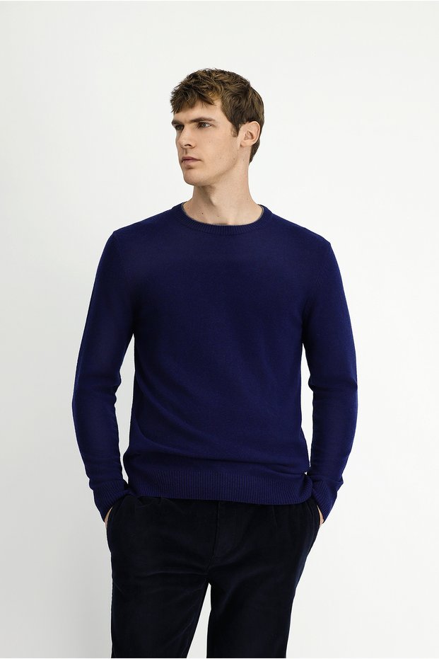 Crew Neck Regular Fit Knitted Wool Pack Cashmere Blend Knitwear Sweater