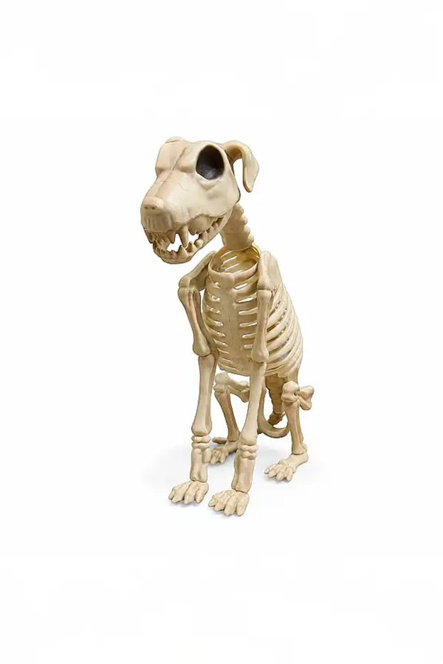 Halloween Horror Themed Sitting Skeleton Dog Figure 38cm