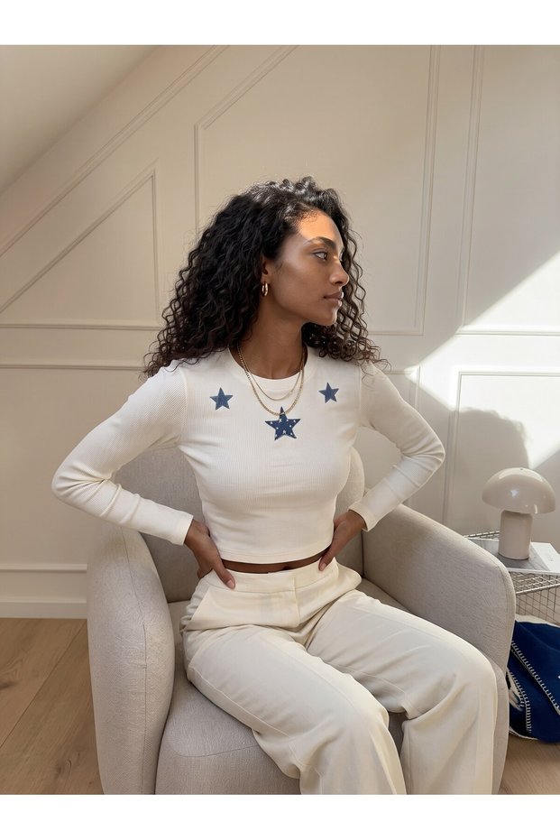 Ecru Stretchy Camisole Fabric Long Sleeve Crew Neck Star Embroidered Crop Form Blouse