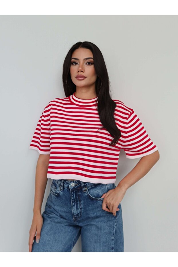 High Collar Striped Knitwear Blouse