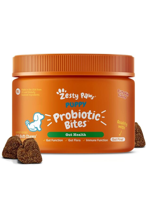 Puppy Probiotics Bites - Gut Health for Dogs, Pumpkin, 90 Ct