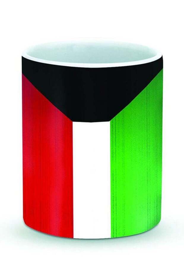 Premium Flag Of Kuwait Designer Mug Multicolour