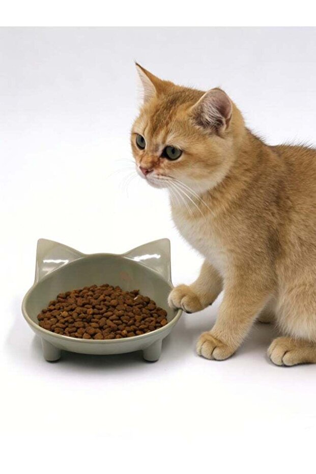 Cat Bowl, Anti-Slip Cat Food Bowl, Cat Feeding Bowl, Cat Water Bowl, Multipurpose Pet Feeding Bowl