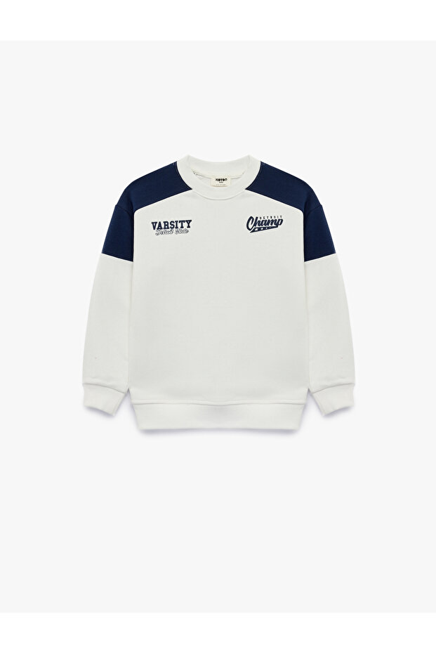 Color Blocked, Crew Neck, Long Sleeve, Printed Sweatshirt