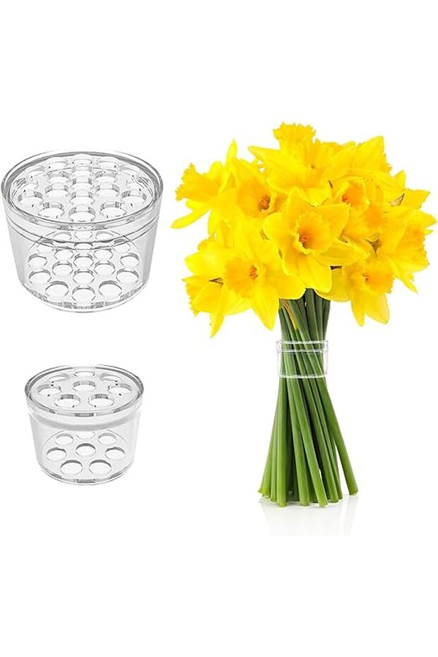 2PCS Spiral Ikebana Stem Holder,DIY Bouquet Twister Flower Arrangement Holder for Vases,9 and 19 Holes,Transparent