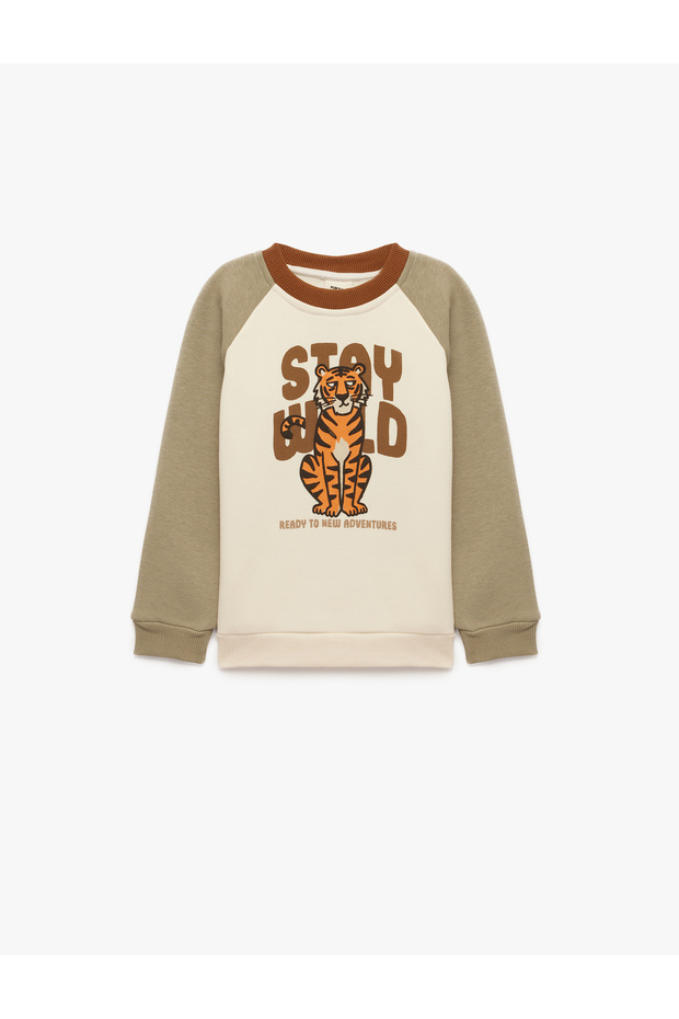 Tiger Printed Crew Neck Long Sleeve Oversized Sweatshirt