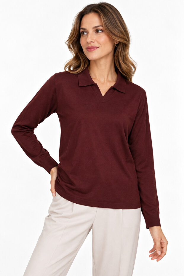 Women's Polo Collar Basic Plain Blouse Brown