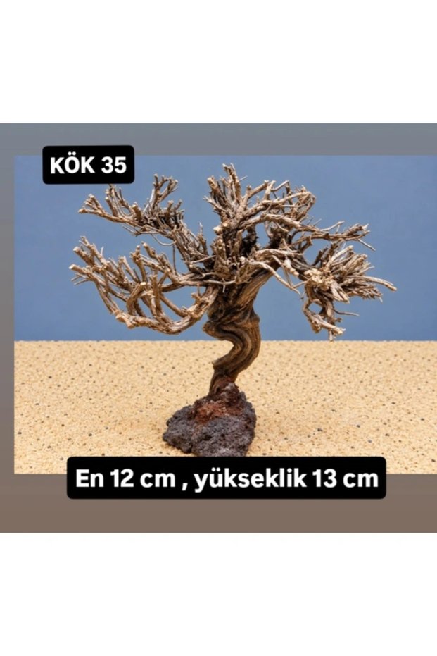 KÖK 35