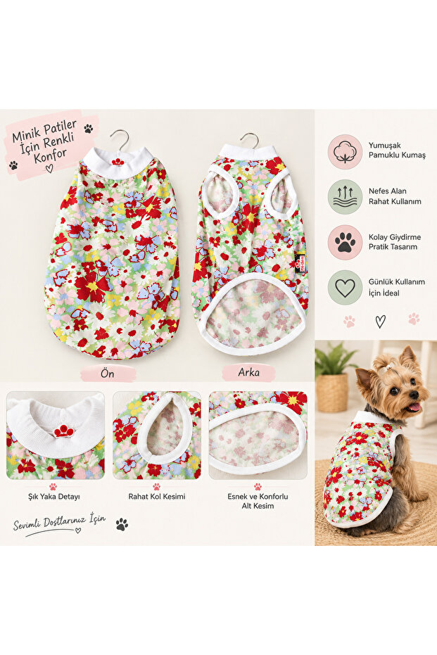Köpek body