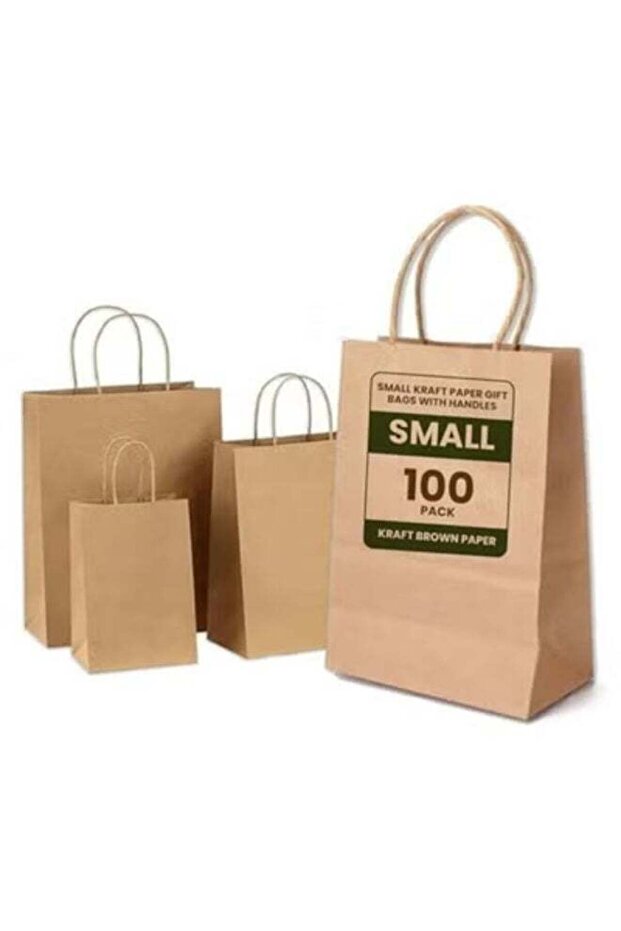 ecoway Kraft Paper Bags - Pack Of 100 Craft Small Paper Grocery Bags With Handles For Shopping, Par