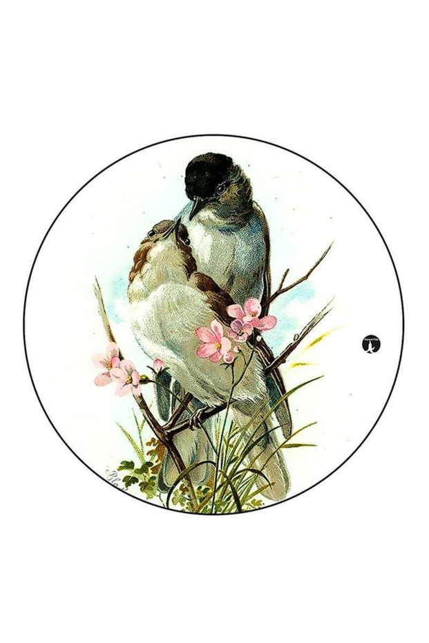 Birds Printed Large Pin Multicolour