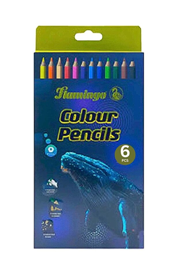 Colour Pencil Jumbo 6pcs