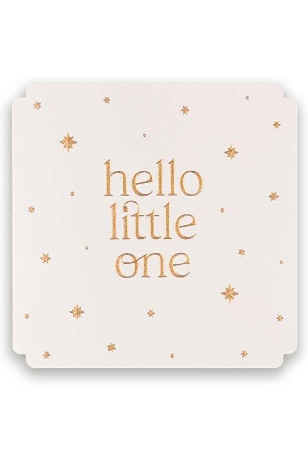 Pigment Fox & Butler Hello Little One Greeting Card
