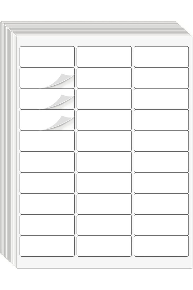 3000 Pcs Label Sticker Sheets, Mailing Labels, 1" x 2-5/8" Labels, Storage Organizer Labels