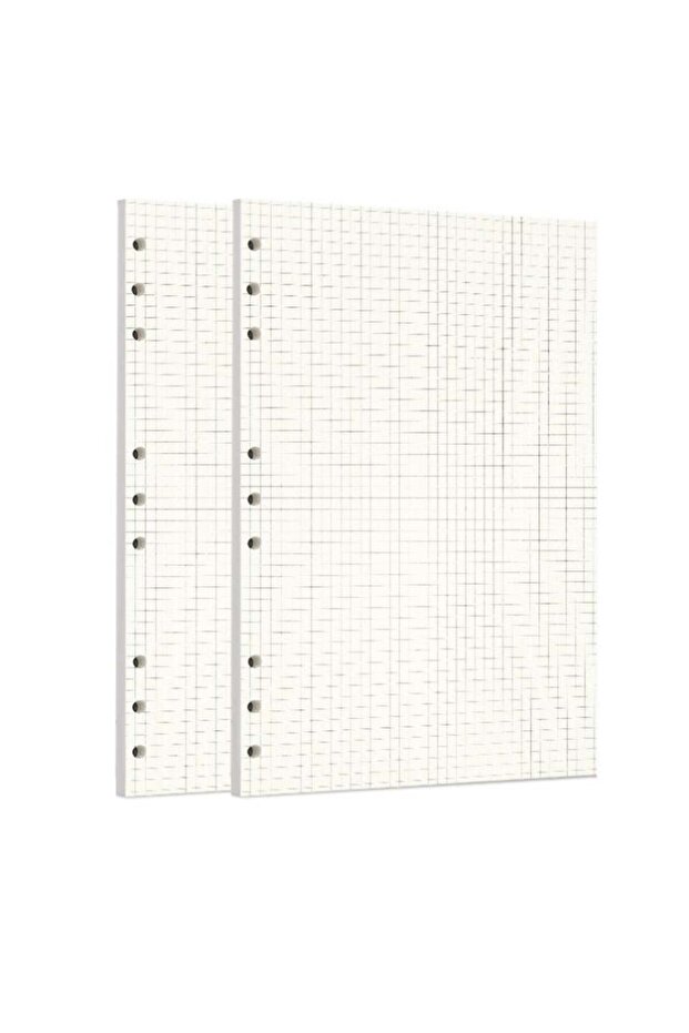 Zelten 2 Pack B5 90 Sheets/180 Pages Squared Loose Leaf Punched Paper Refills Paper for 9 Hole Bind