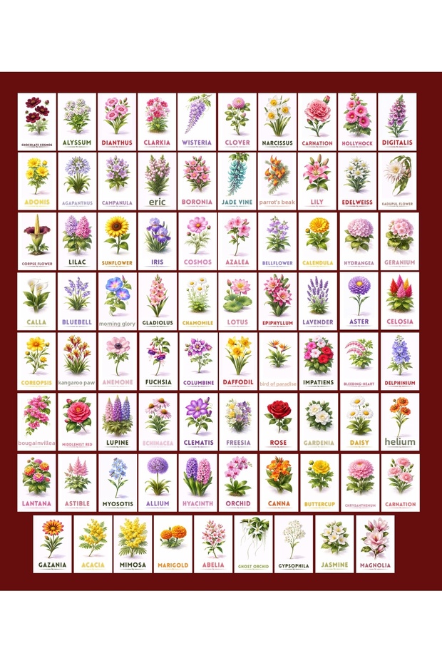 Flower Themed Postcard Set (10X15 cm 79 Pieces)