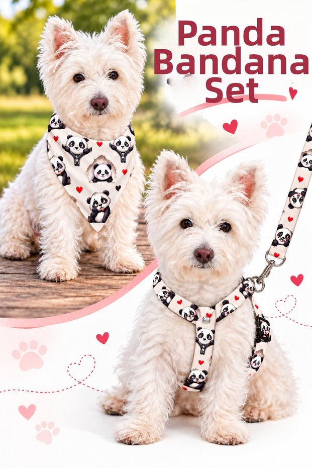 Adjustable Scarf, Chest Harness and Travel Strap Set of 3