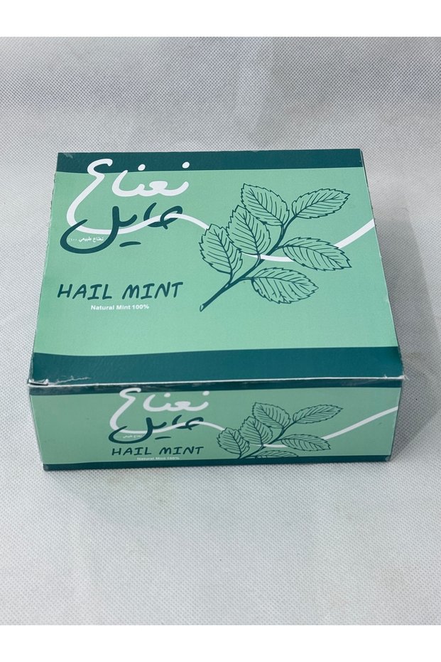 نعناع حائل