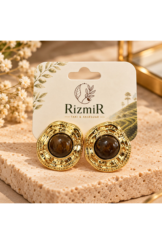 Gold Framed Brown Stone Round Women's Earrings