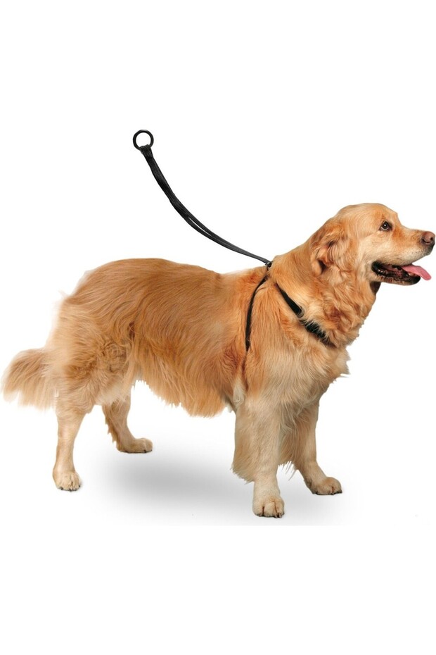 Flzdgnkr Easy Walker Chest Harness 40*58 cm Large